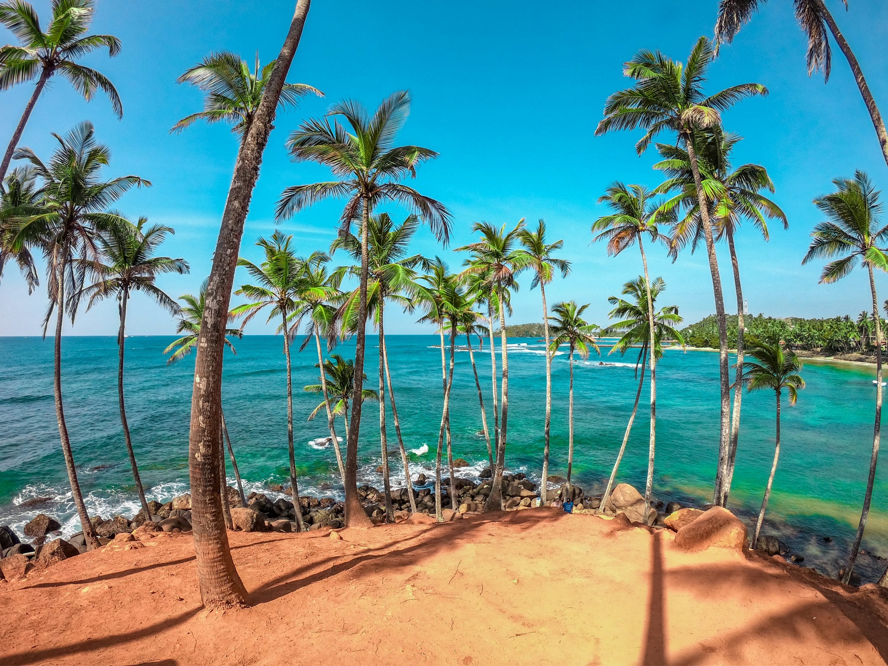 Best Time to Visit Sri Lanka: A Month-by-Month Guide