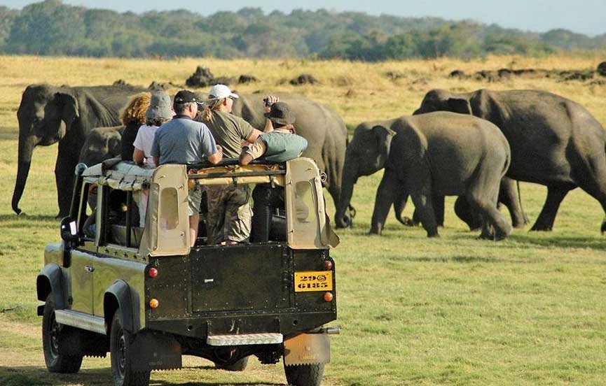 5 Days Beach &amp; Wildlife Tour